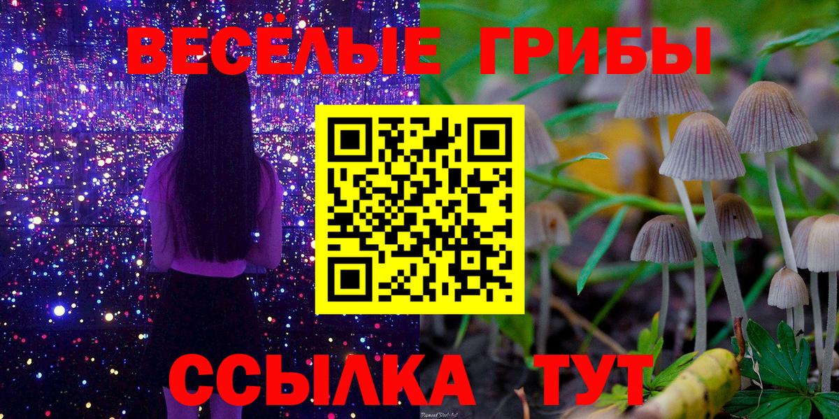 Галлюциногенные грибы GOLDEN TEACHER  Псилоцибиновые грибы Psilocybe  Белово  Вход с VPN 